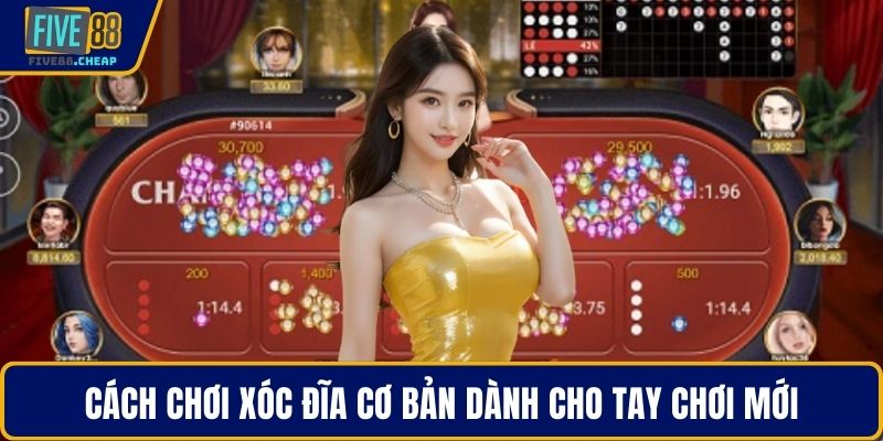 Cách chơi xóc đĩa cơ bản dành cho tay chơi mới