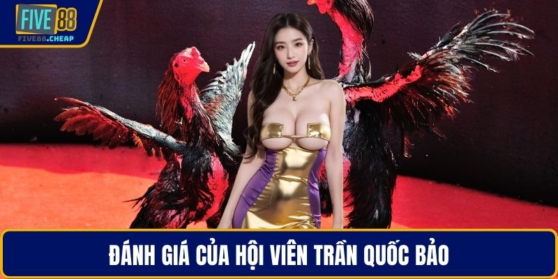 Đánh giá của hội viên Trần Quốc Bảo