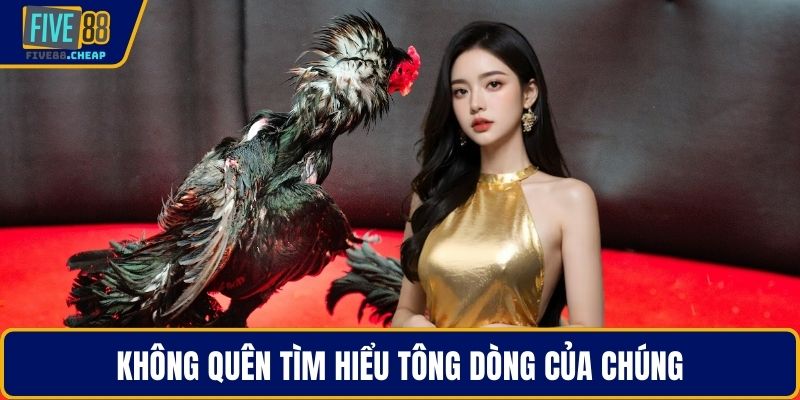 Không quên tìm hiểu tông dòng của chúng