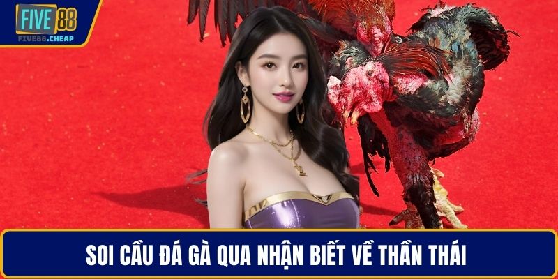 Soi cầu đá gà qua nhận biết về thần thái 